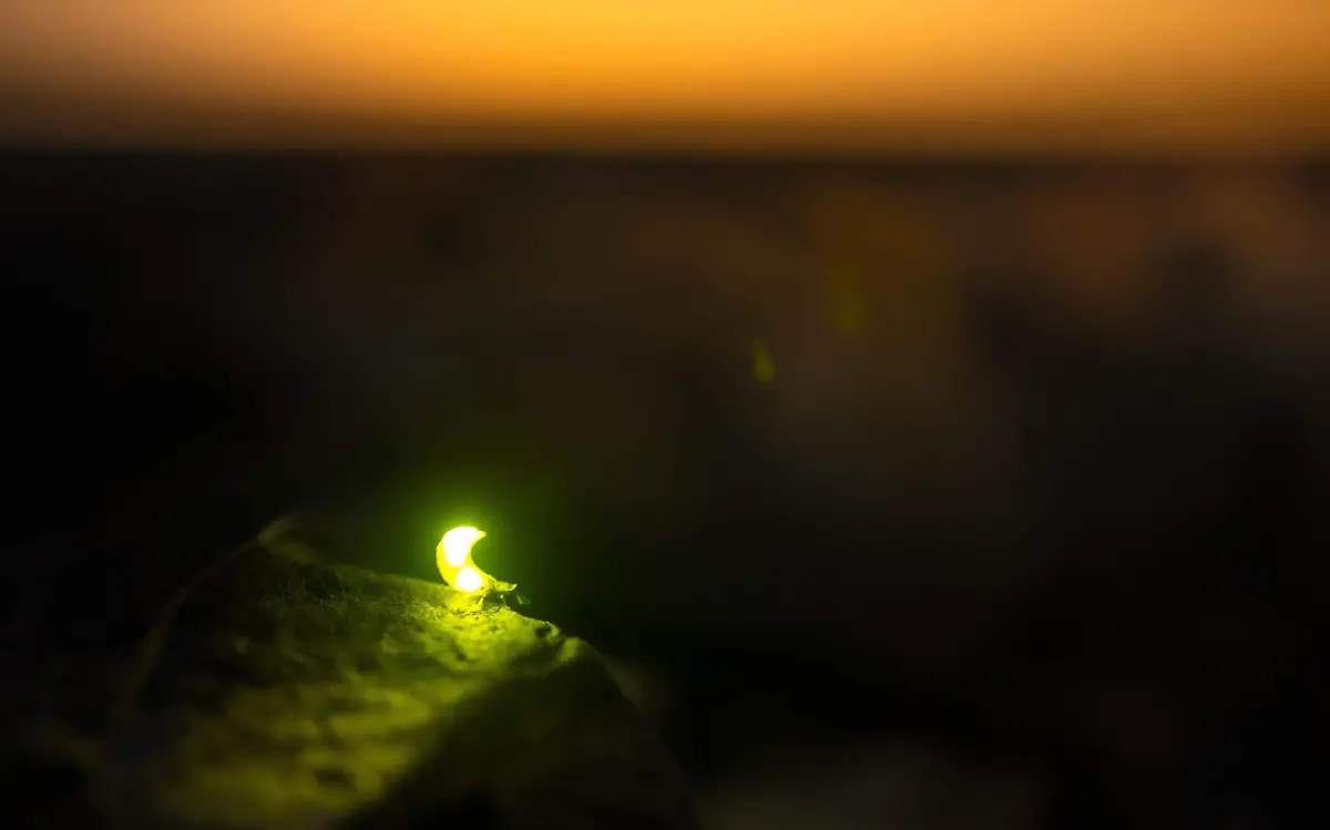 Luciérgas, las luces nocturnas que extrañan los tampiqueños 